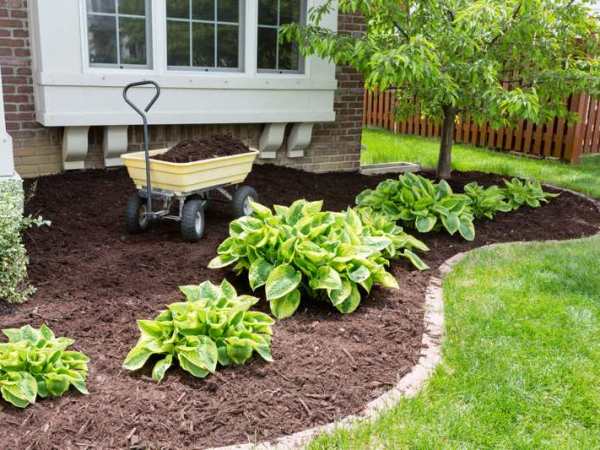 The Top Reasons Why Regular Garden Maintenance is Essential for Plant Health